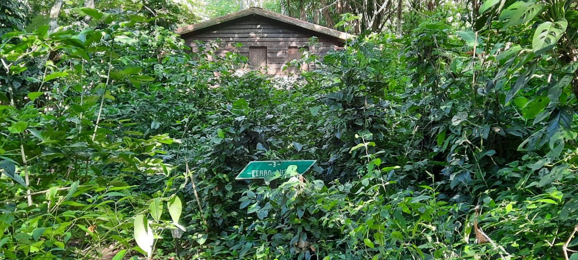 Mombacho Lodge กรานาดา ภายนอก รูปภาพ