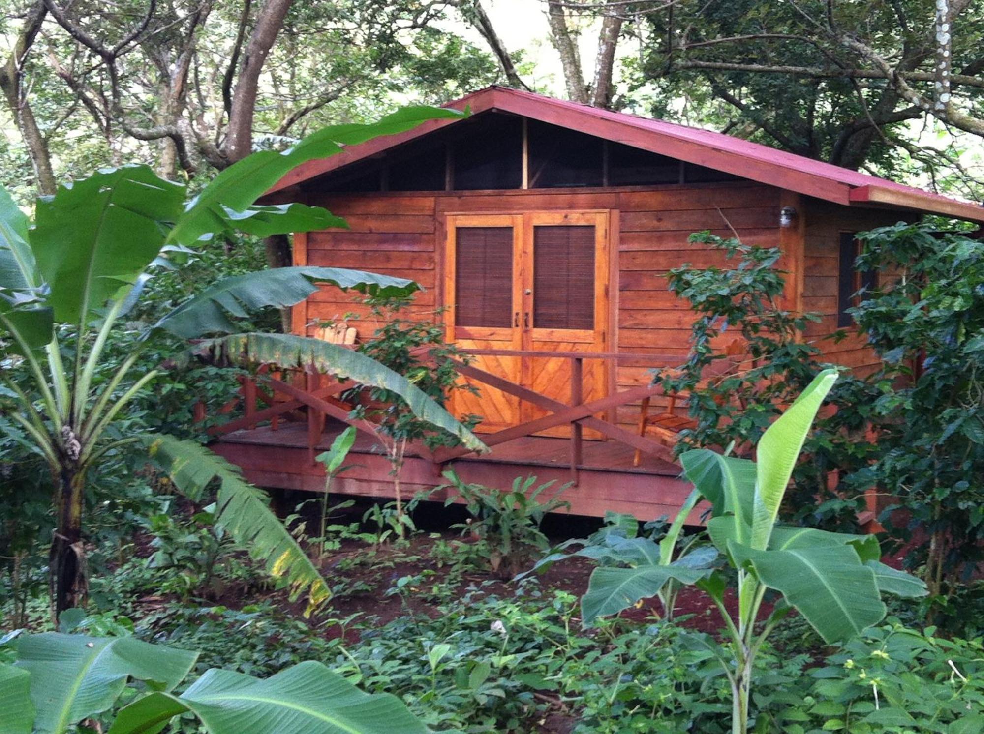 Mombacho Lodge กรานาดา ห้อง รูปภาพ