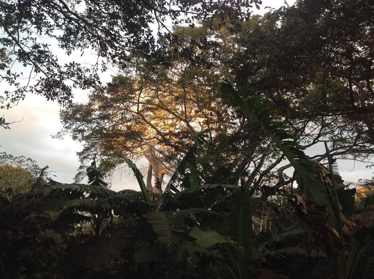 Mombacho Lodge กรานาดา ภายนอก รูปภาพ